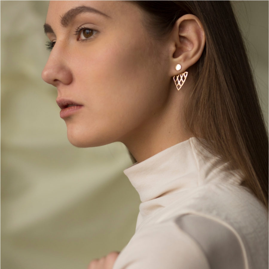 Hangar Pier Luigi Nervi Earjacket